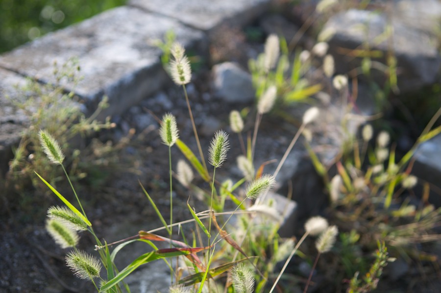 wwstory 11
