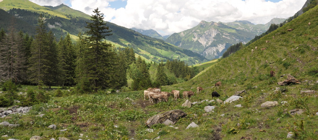 Wychlen zuhinterst im Sernftal