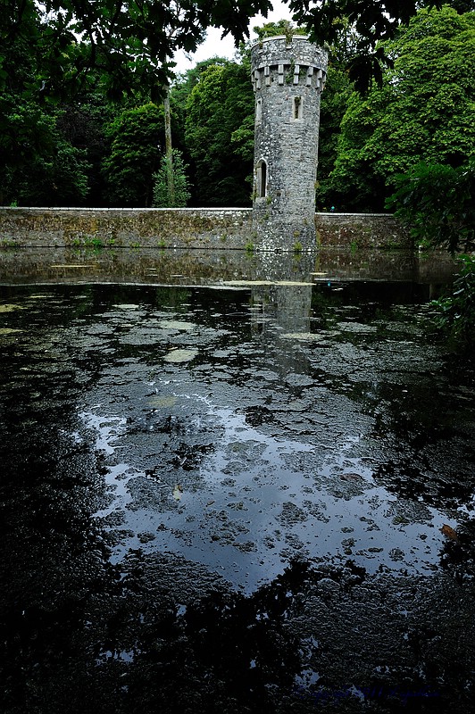 X 0009 Irland 2011 tower and lake