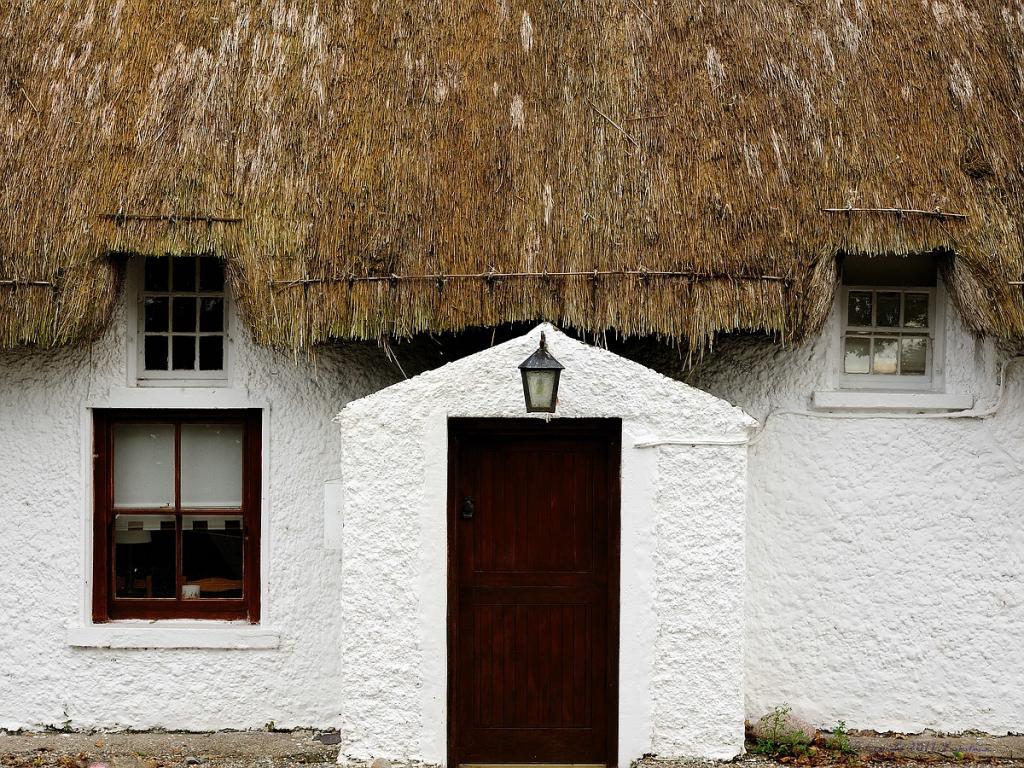 X 0013 Irland 2011 cottach with brwon door