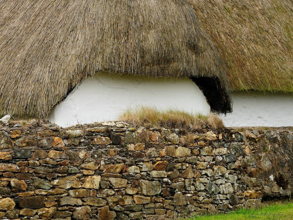 X 0017 Irland 2011 reed cottach
