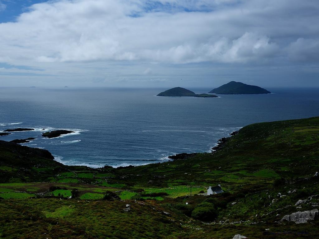 X 0094 Irland 2011 near Inch
