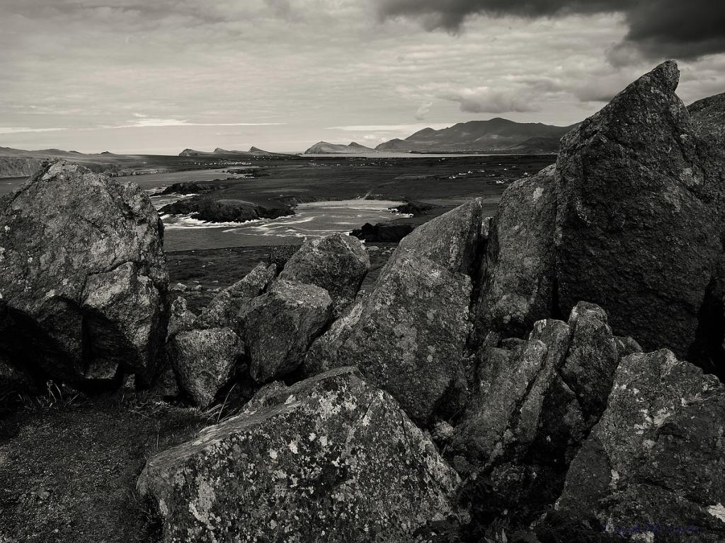 X 0114 Irland 2011 outlook