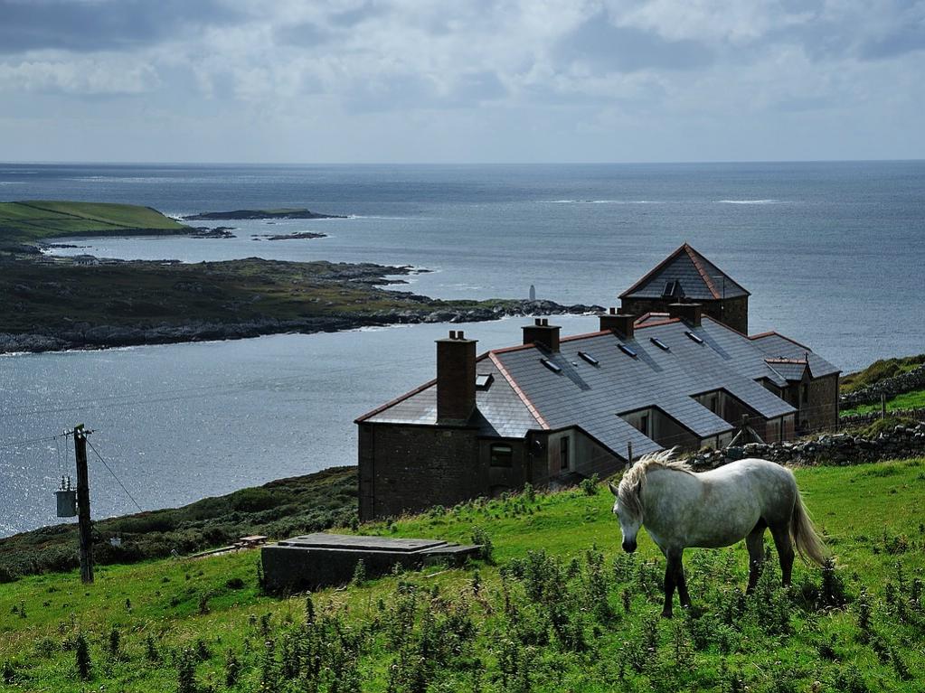 X 0155 Irland 2011 horse and farm