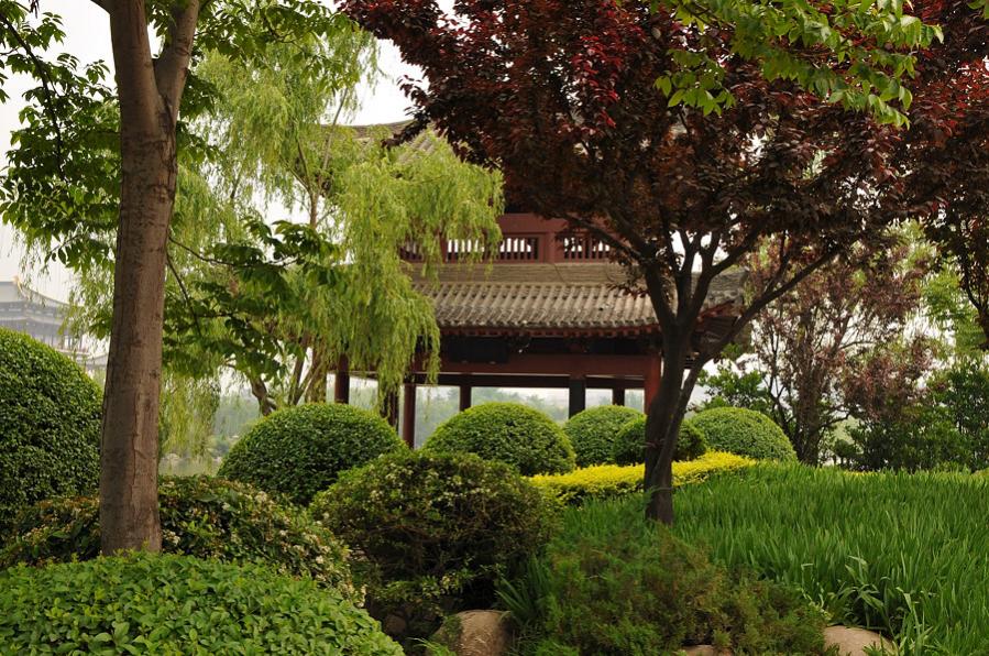 xian 12