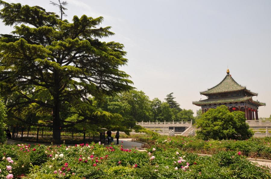 xian 20