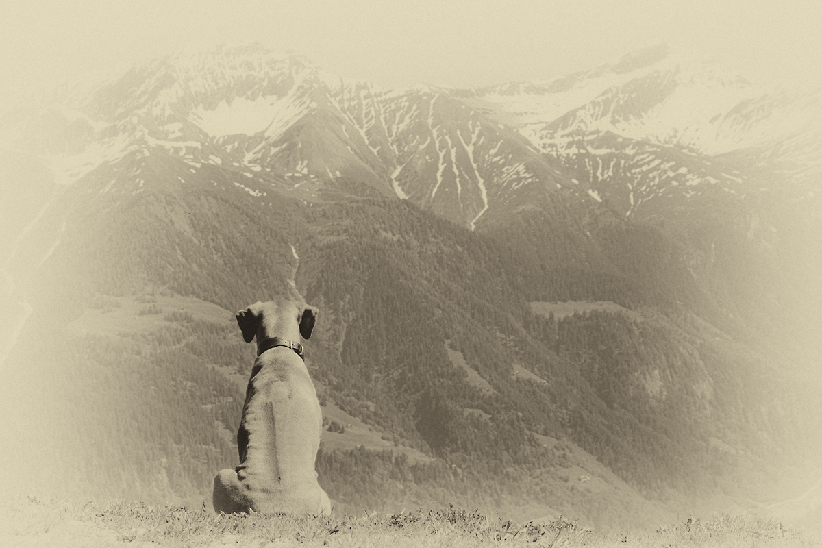 XT140573 Bearbeitet 3