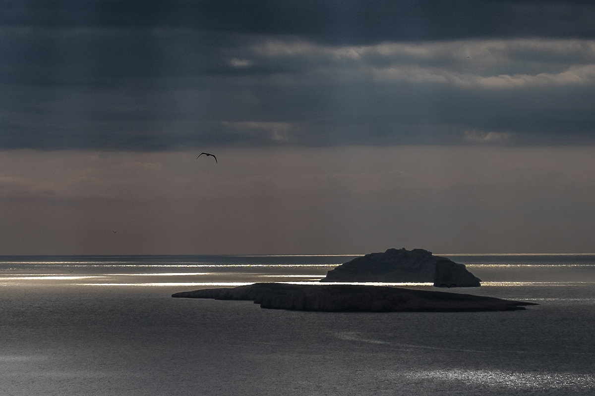 XT143535