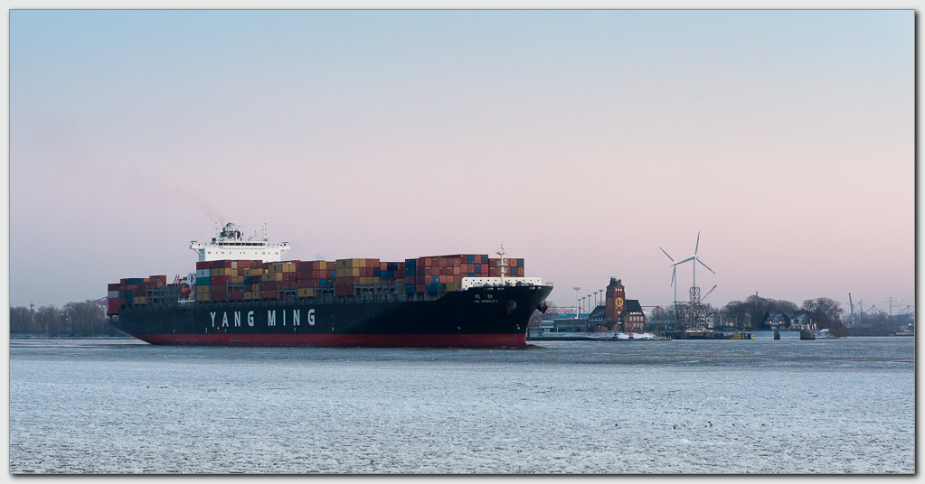 YANG MING Mobility (IMO 9455870) vor der Lotsenstation Bubendey-Ufer (Elbe/Hamburg)
