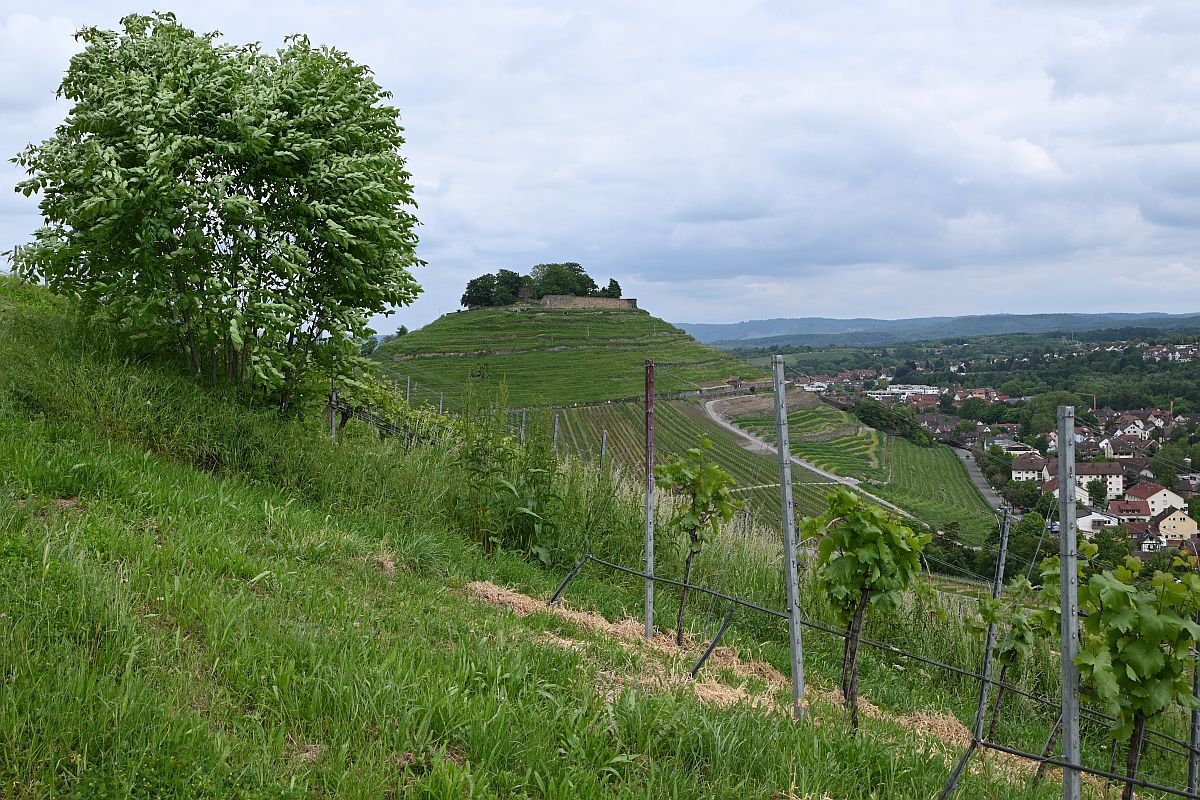 Z12-28_Test 10.jpg