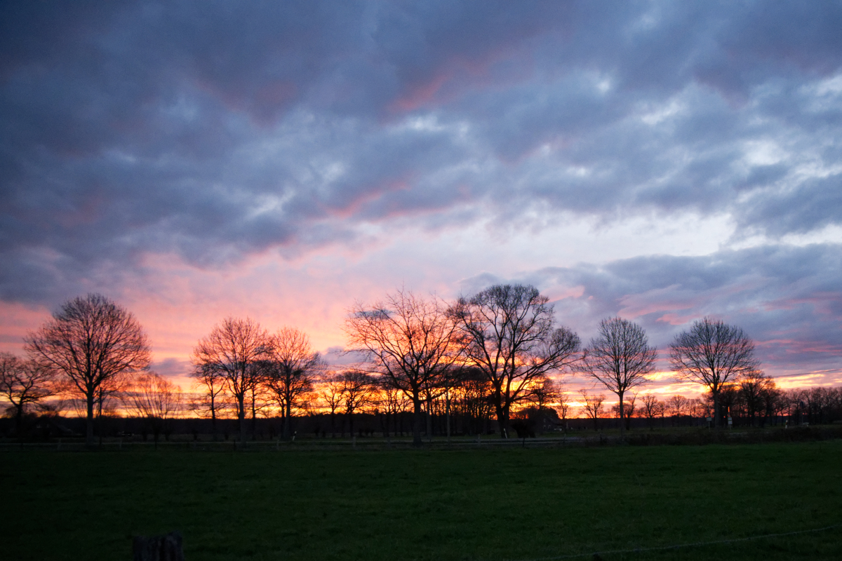 Z50_0058_DxO.jpg