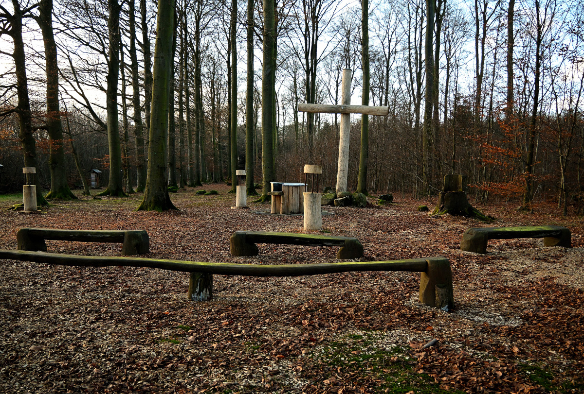 Z50_0108.JPG