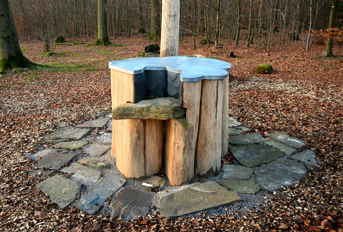 Z50_0113.JPG