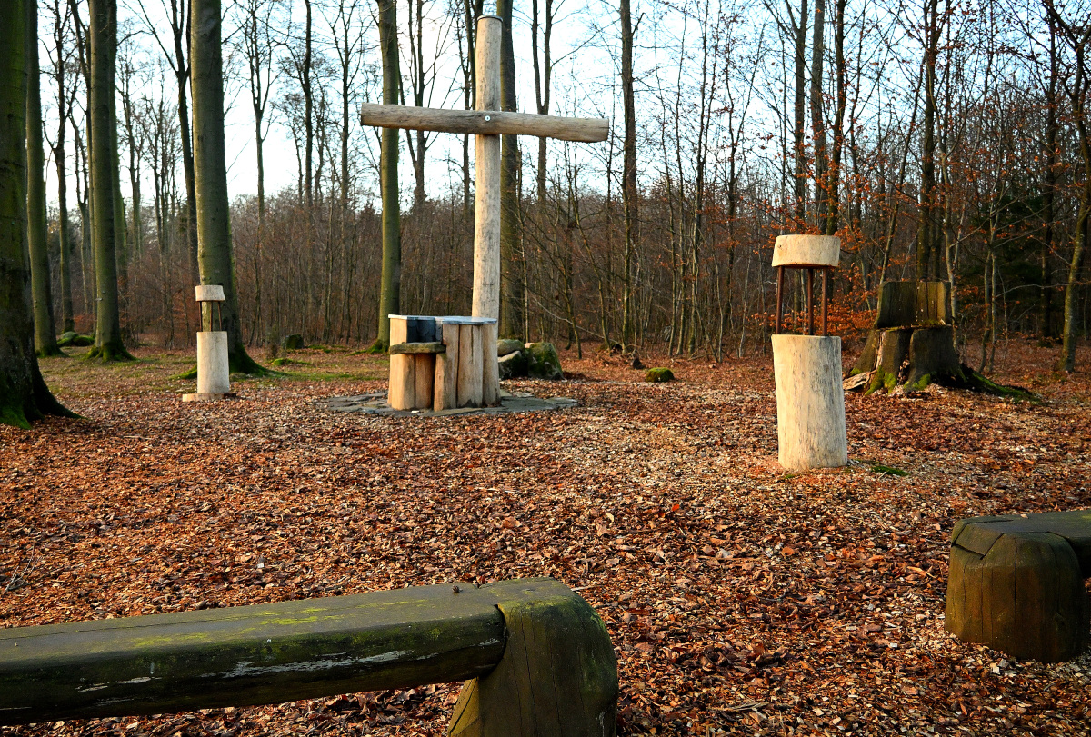 Z50_0115.JPG