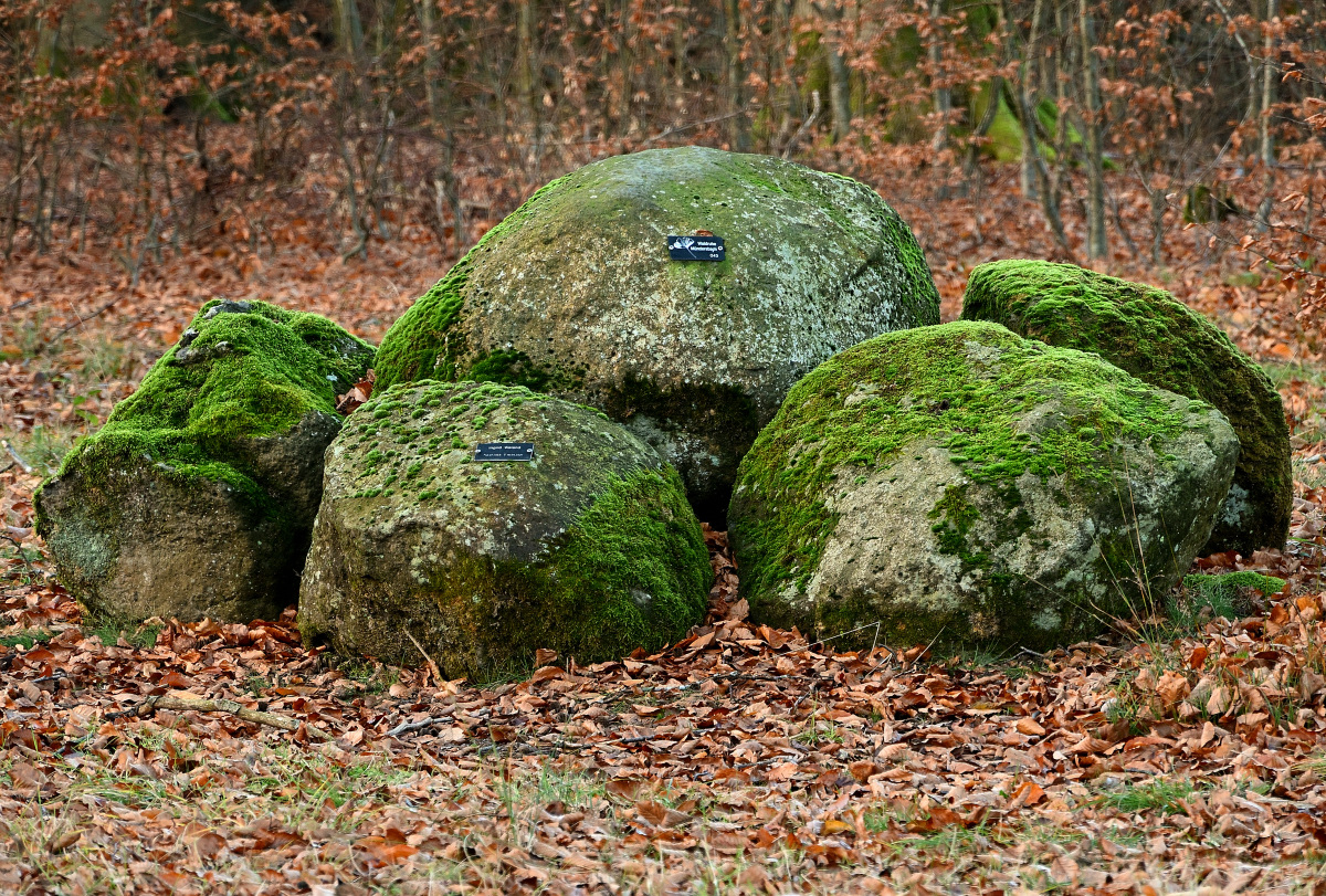 Z50_0133.JPG