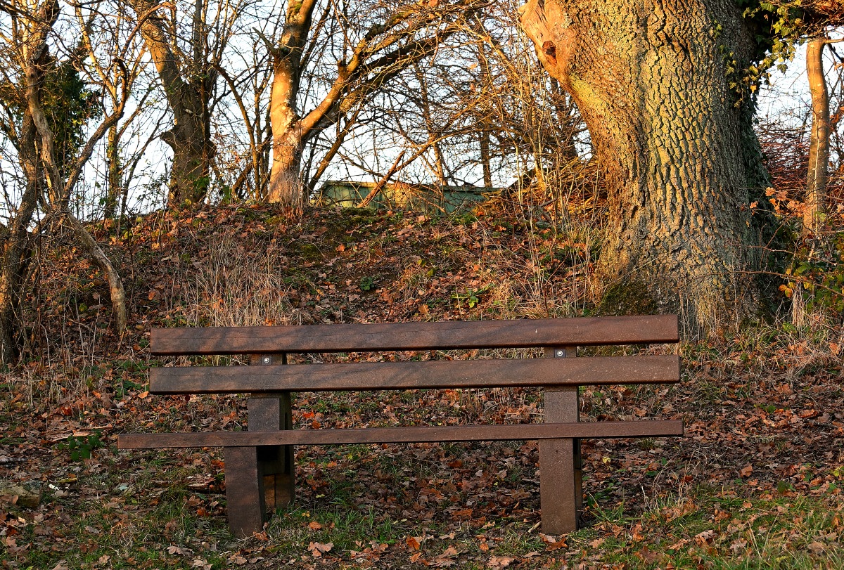 Z50_0150.JPG