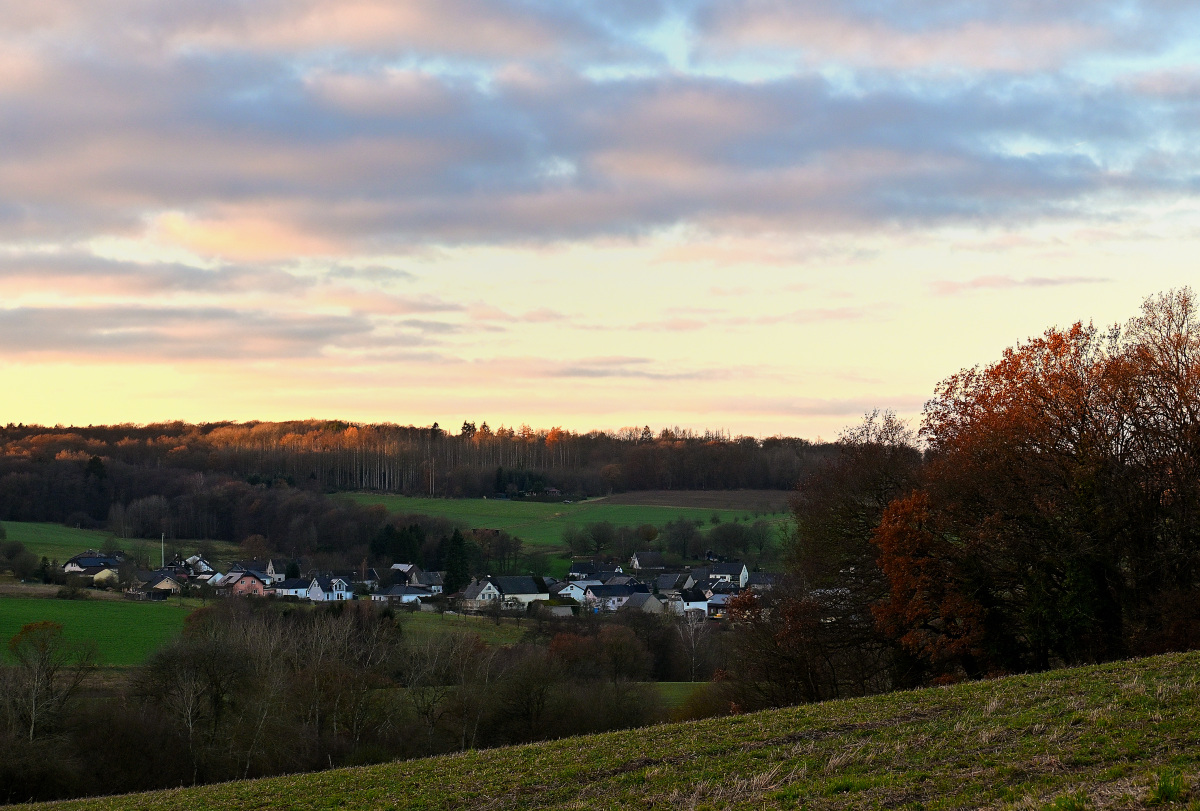Z50_0156.JPG