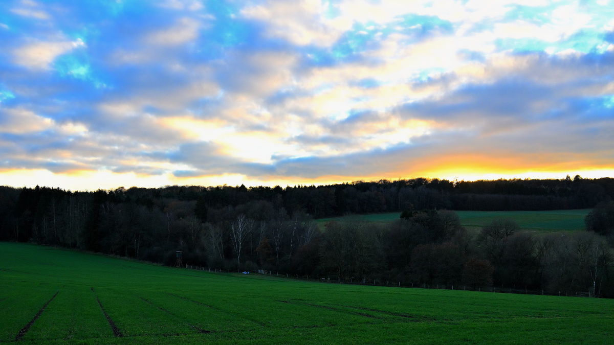 Z50_0160.JPG