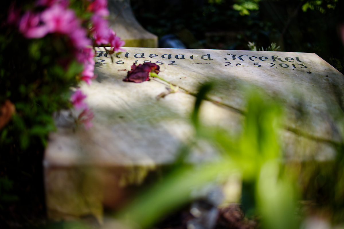 Z50_0489_DxO.jpg