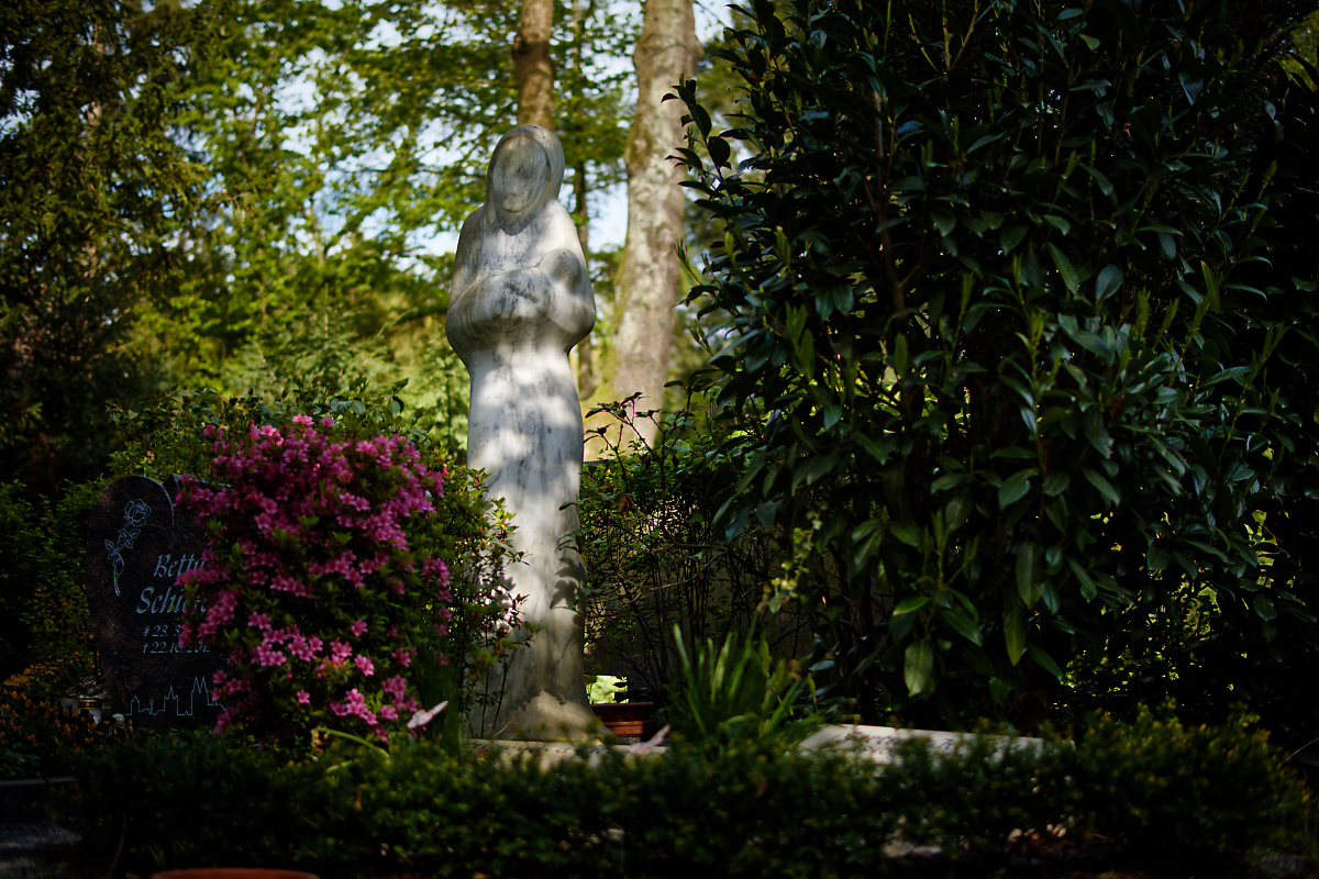 Z50_0498_DxO.jpg