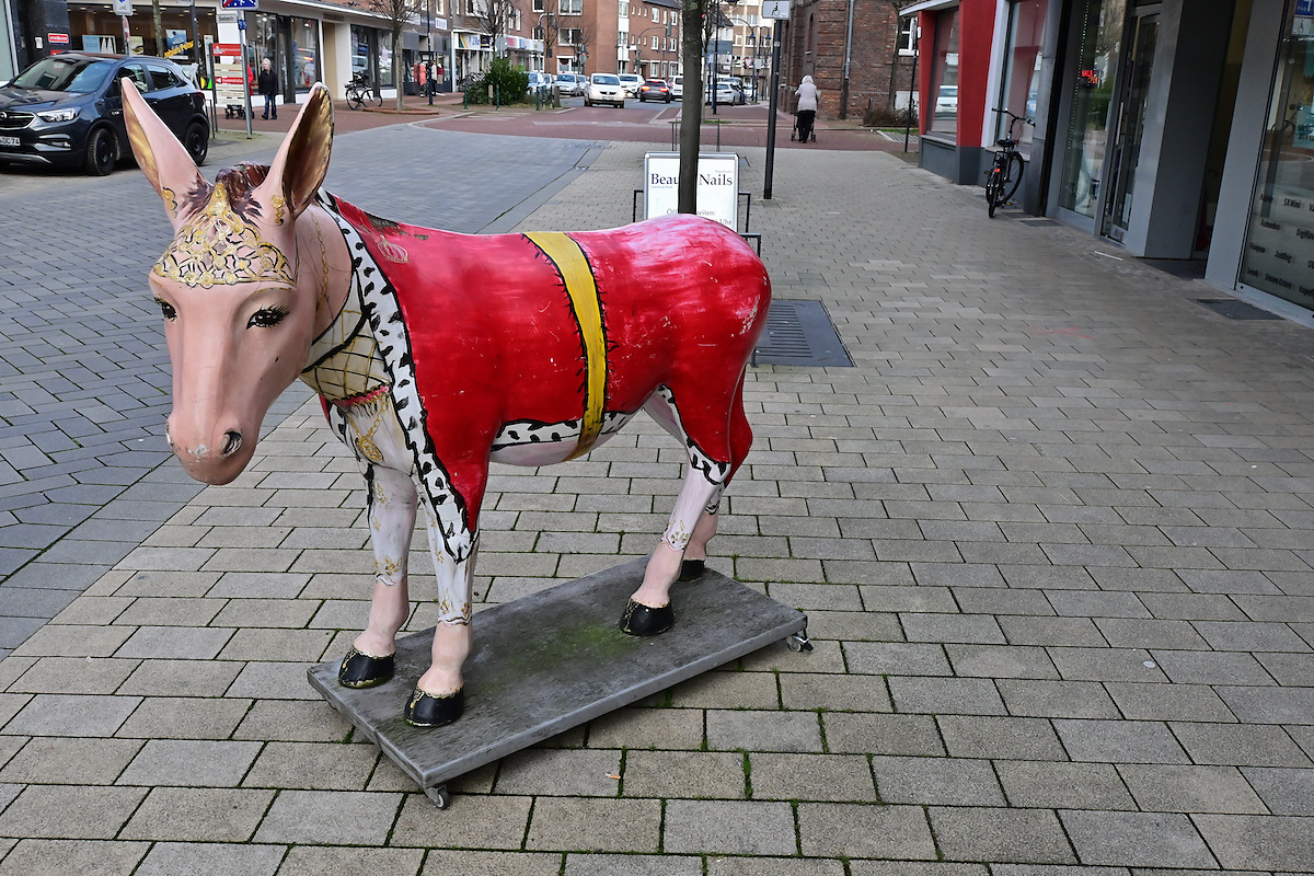 Z50_0587_DxO.jpg