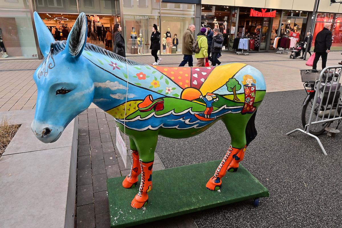 Z50_0588_DxO.jpg