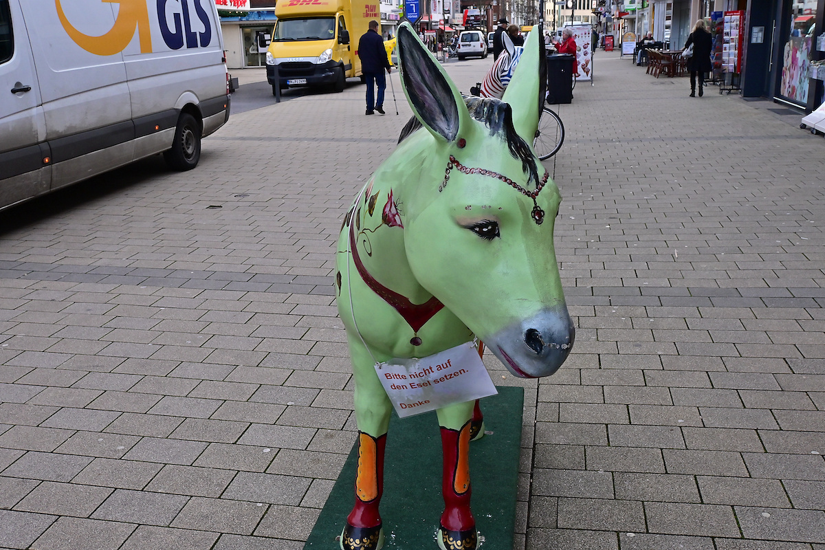 Z50_0596_DxO.jpg