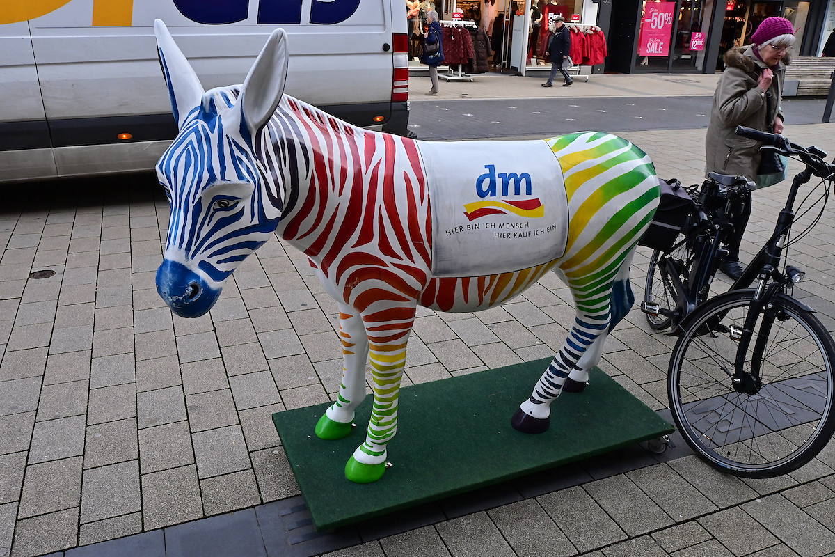 Z50_0598_DxO.jpg