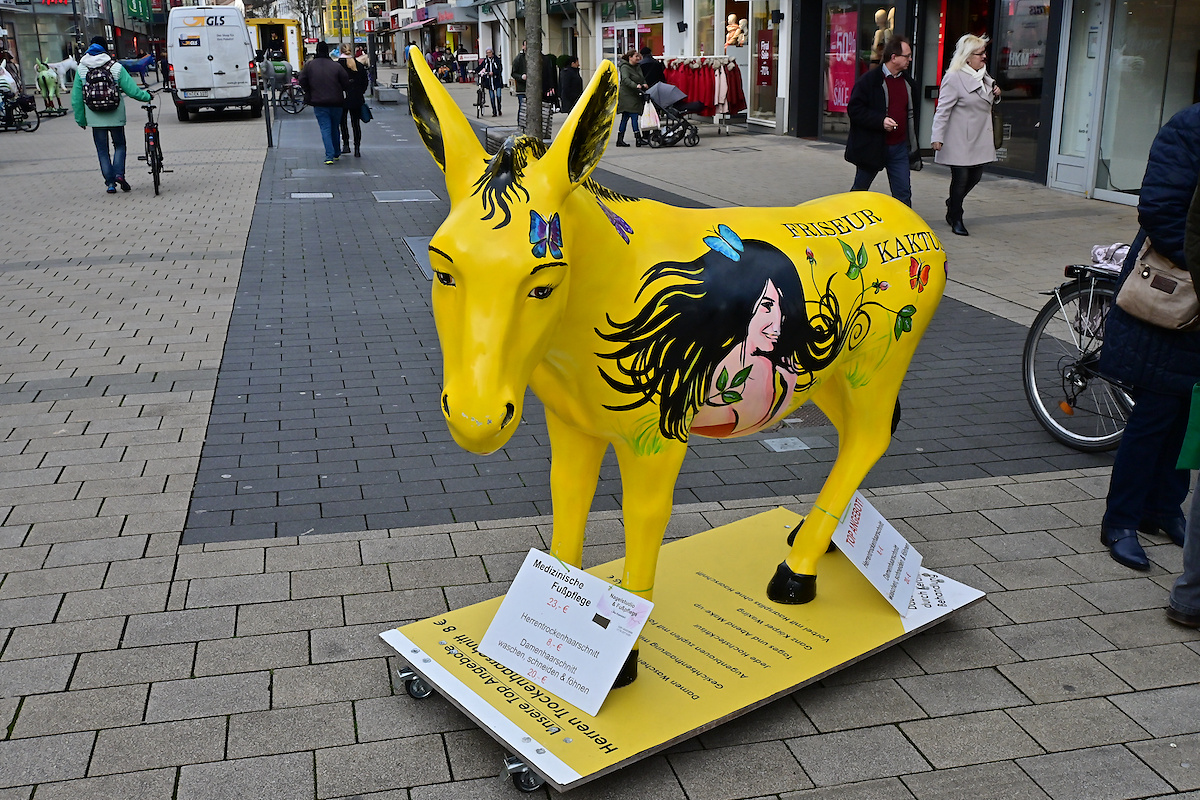 Z50_0599_DxO.jpg