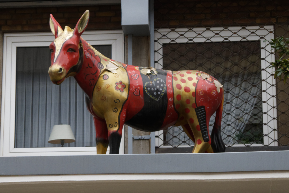 Z50_0669_DxO.jpg