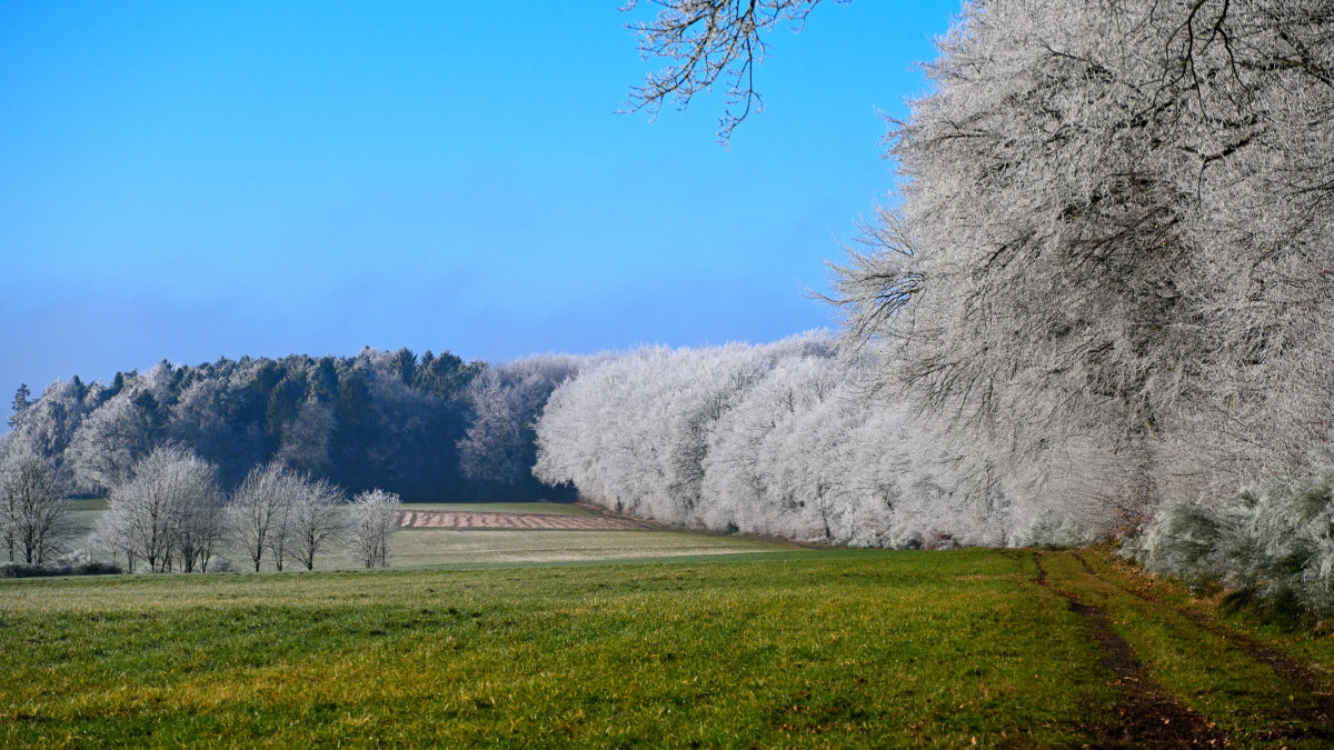 Z50_0672.JPG