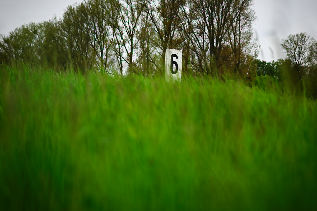 Z50_0682NX_134_DxO.jpg