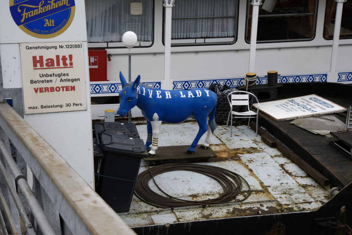 Z50_0784_DxO.jpg