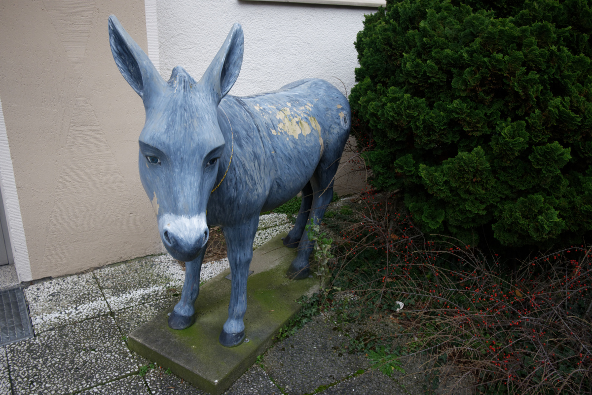 Z50_0798_DxO.jpg