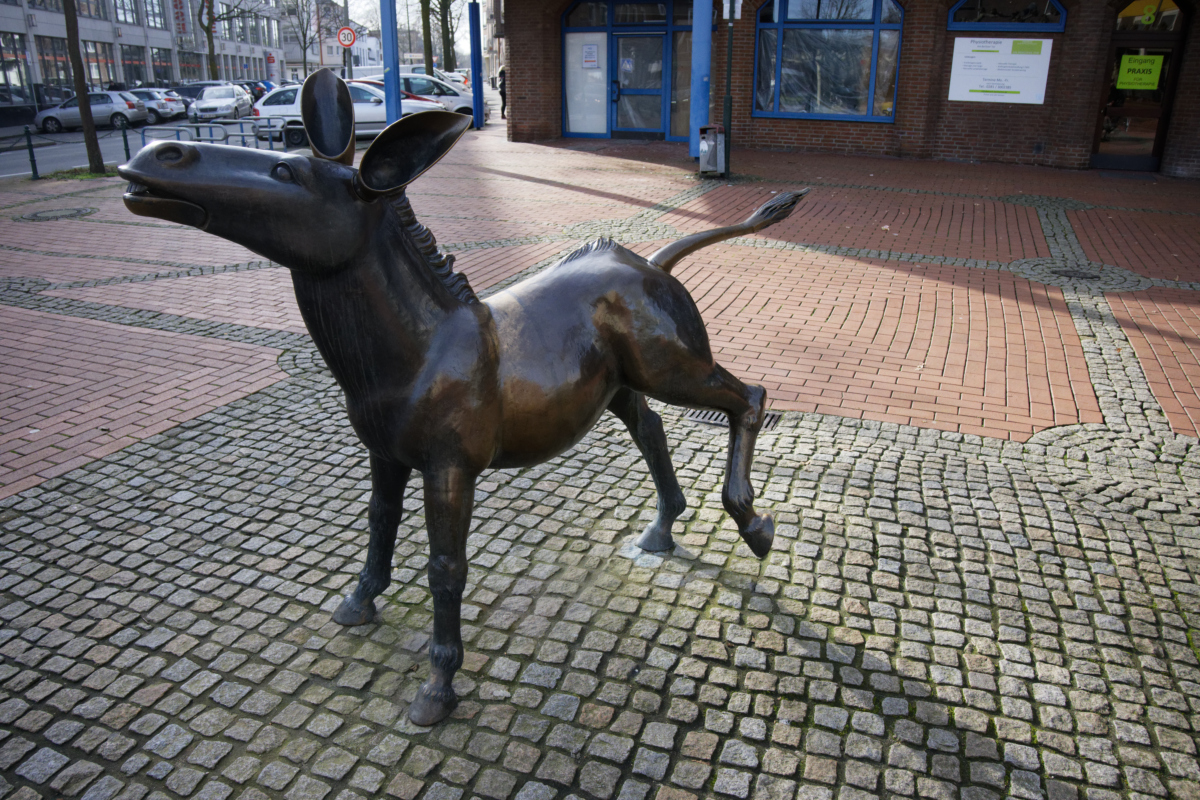 Z50_0882_DxO.jpg