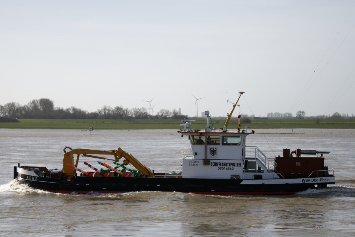 Z50_0889_DxO.jpg