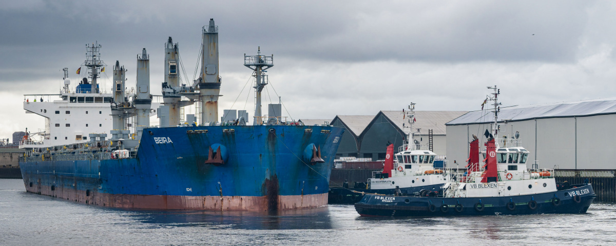 Z50_2532-064.JPG