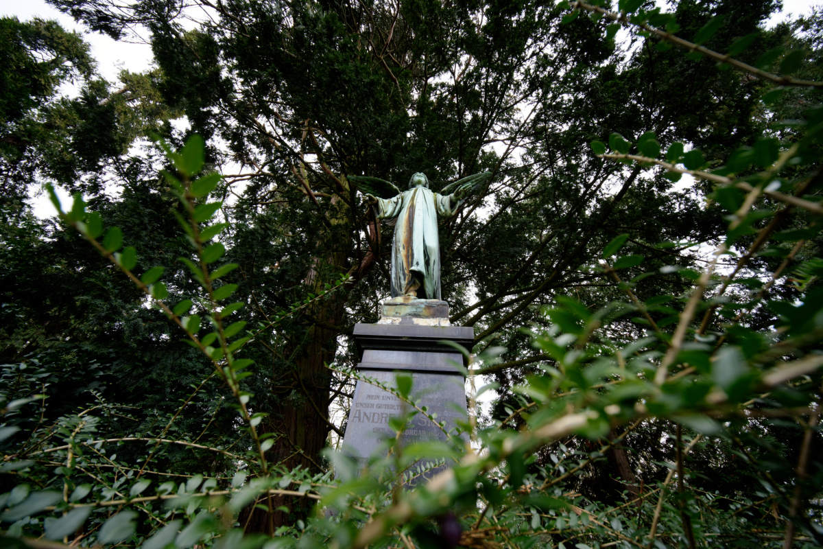 Z50_2957.jpg