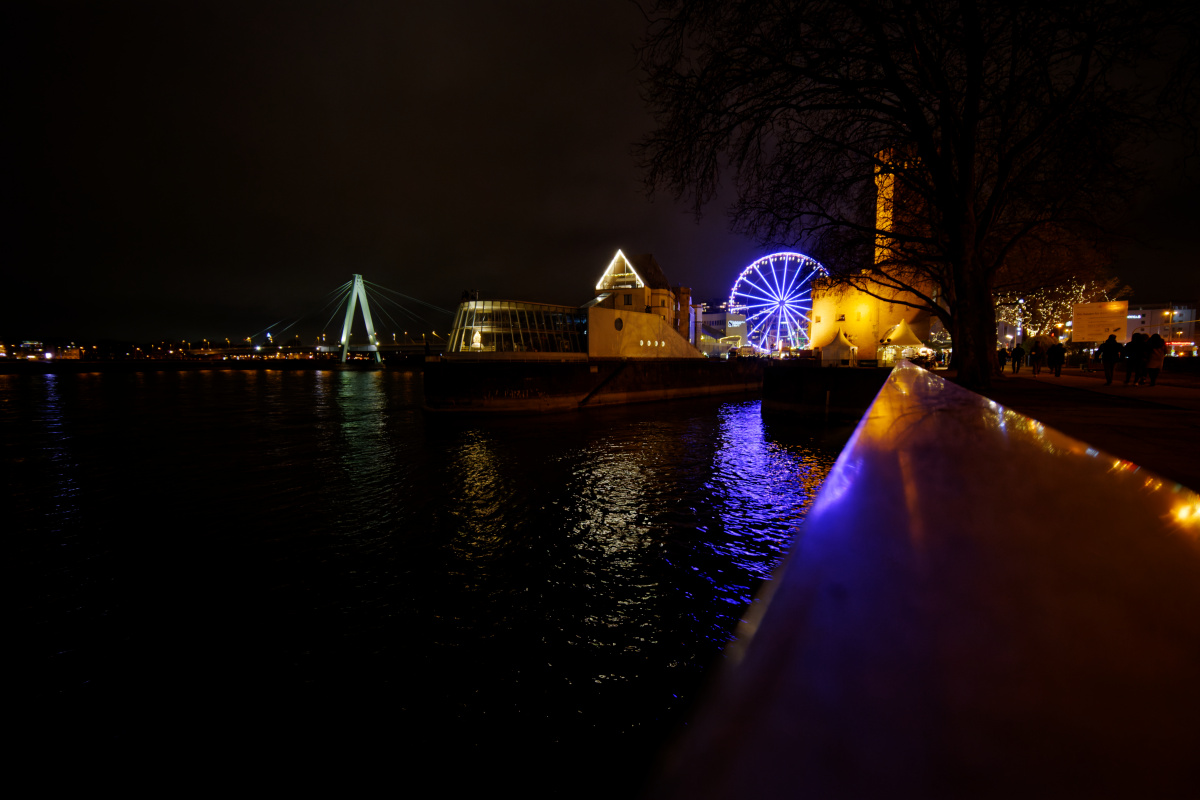 Z50_3133.jpg