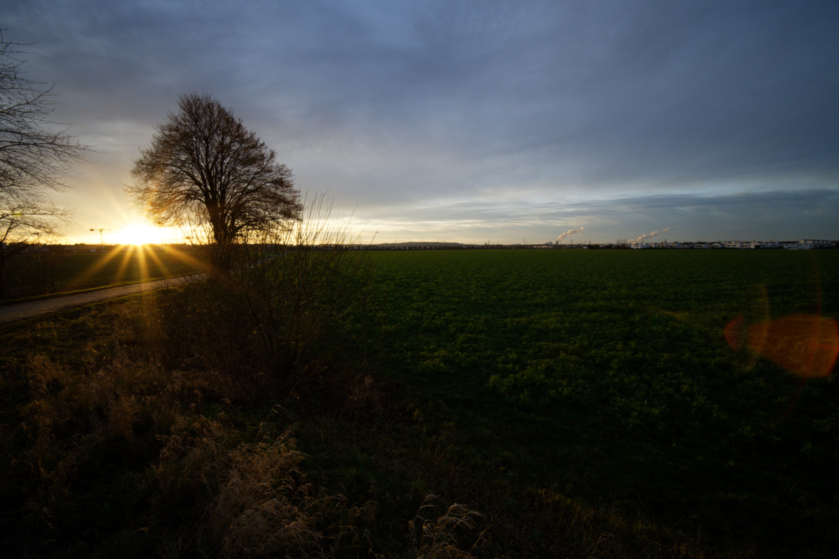 Z50_3244.jpg