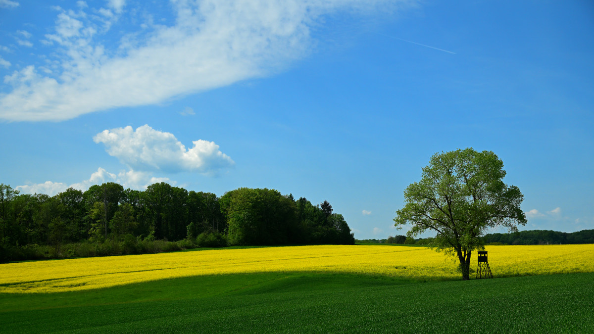 Z50_3359.JPG