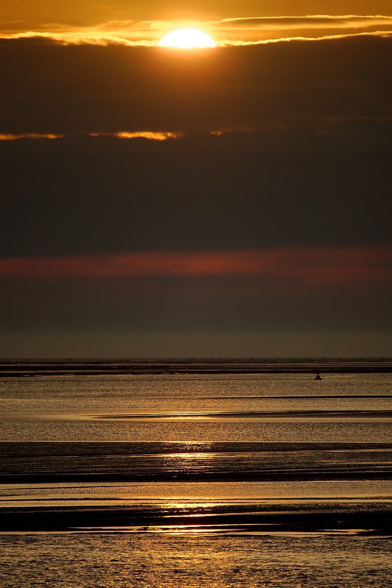 Z50_4846.jpg