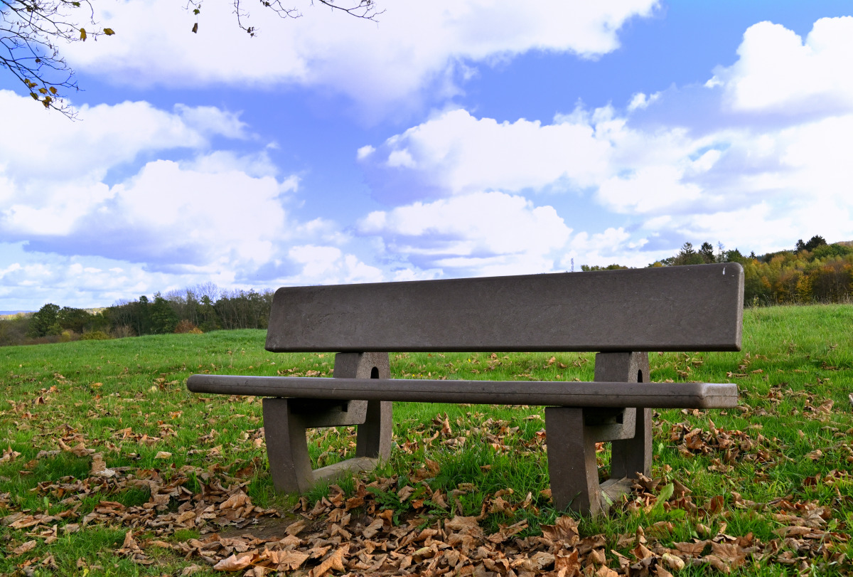 Z50_9863.JPG
