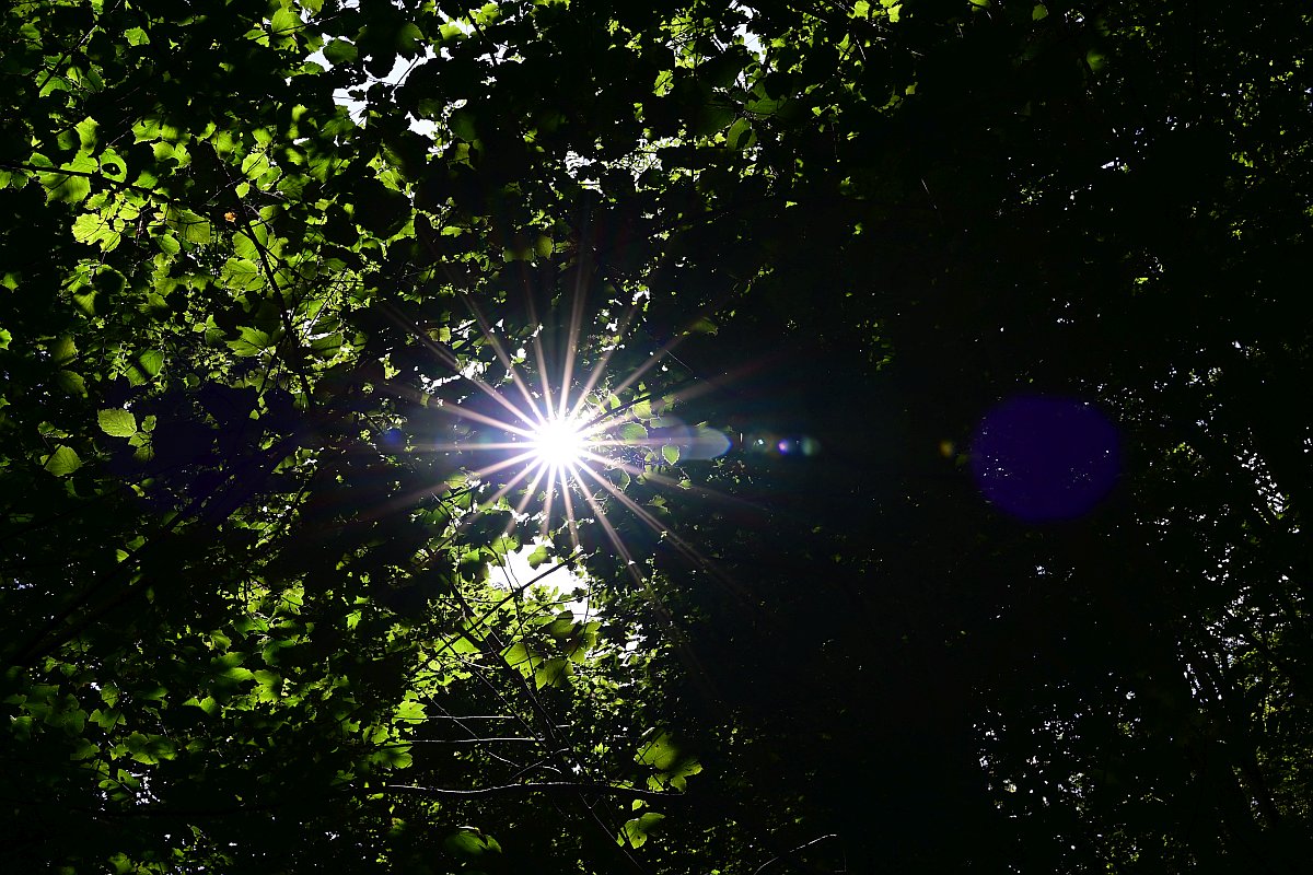 Z50mm_f1.2_Stern 2.jpg