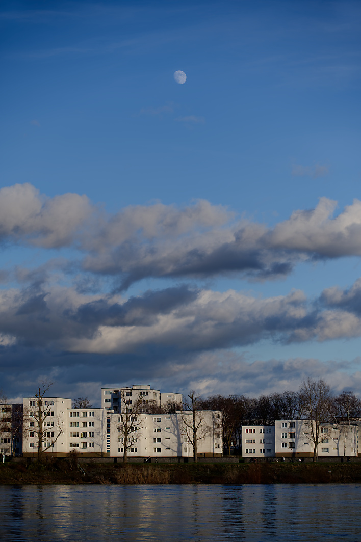 Z62_0118-3.jpg
