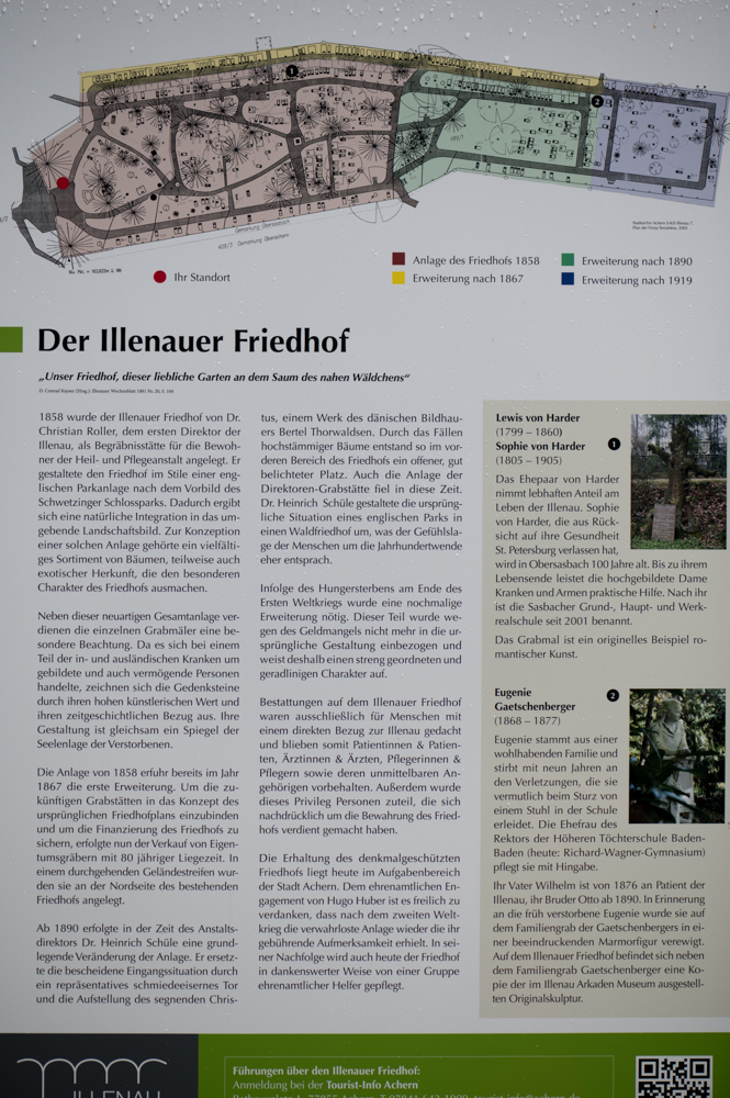 Z62_0638.jpg