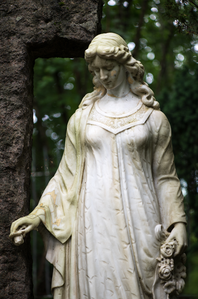 Z62_0660.jpg