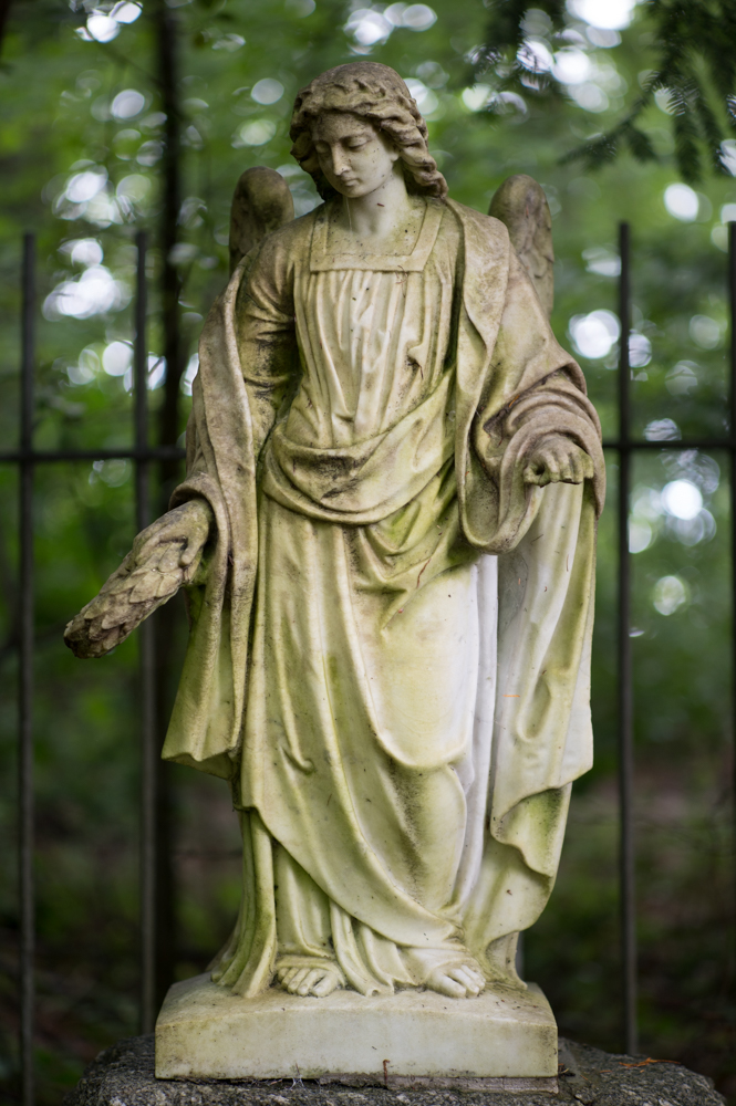 Z62_0683.jpg
