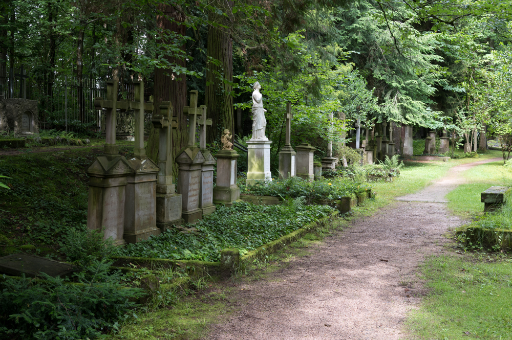 Z62_0695.jpg