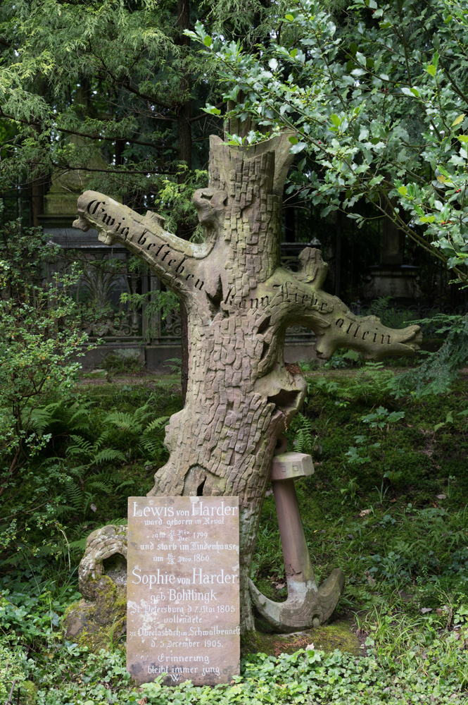 Z62_0697.jpg